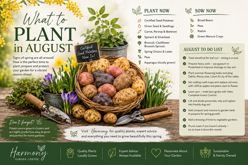 What to Plant - August