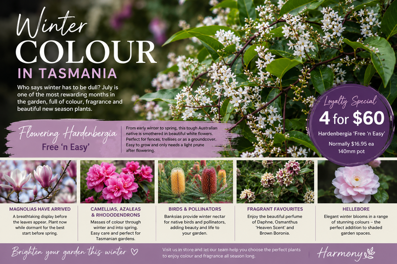 The Best Flowering Plants to Brighten Your July Garden