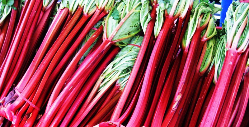 Growing Asparagus and Rhubarb Crowns
