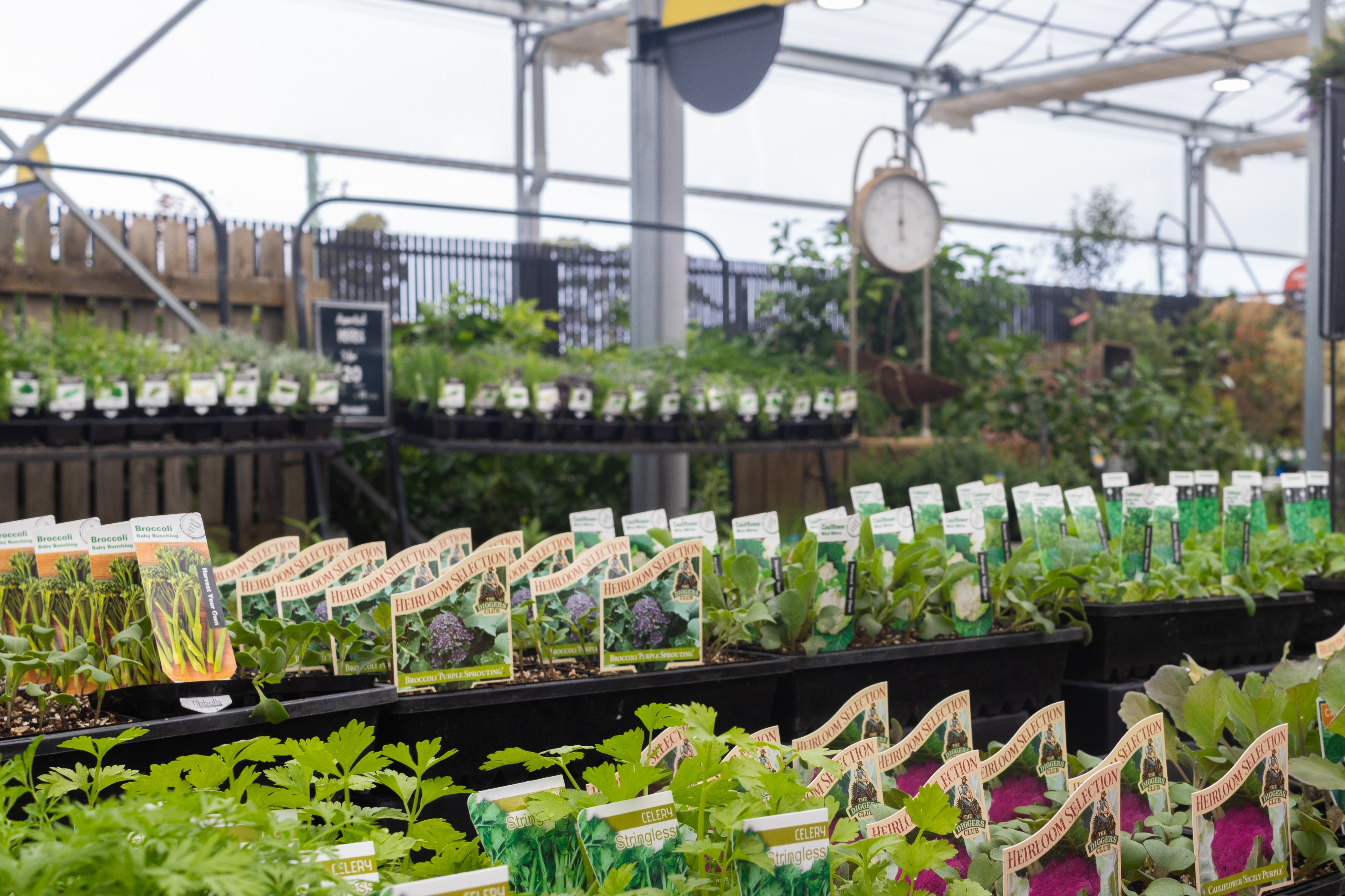 April - What to plant