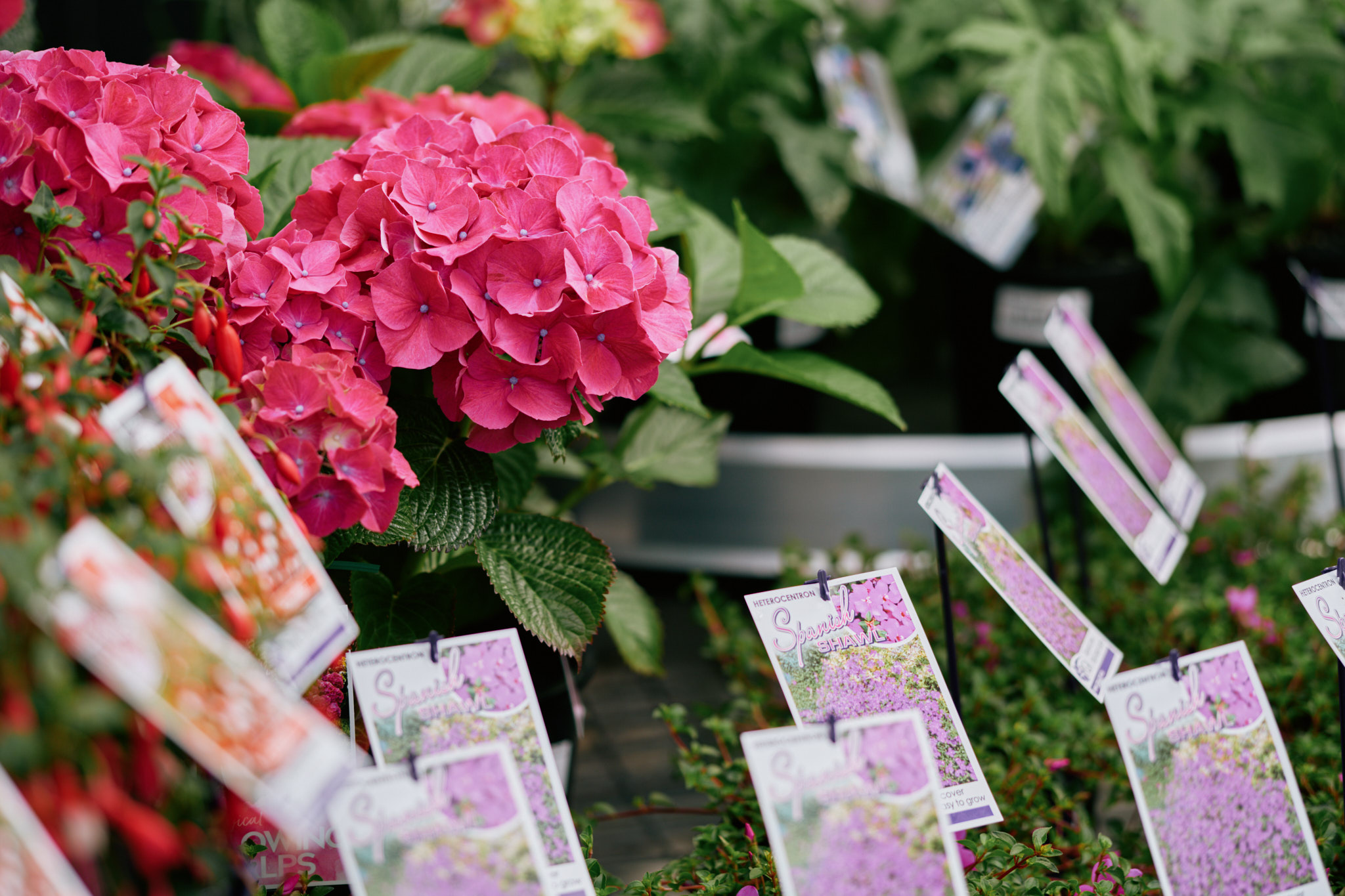 New Year & Growth at Harmony 2025 