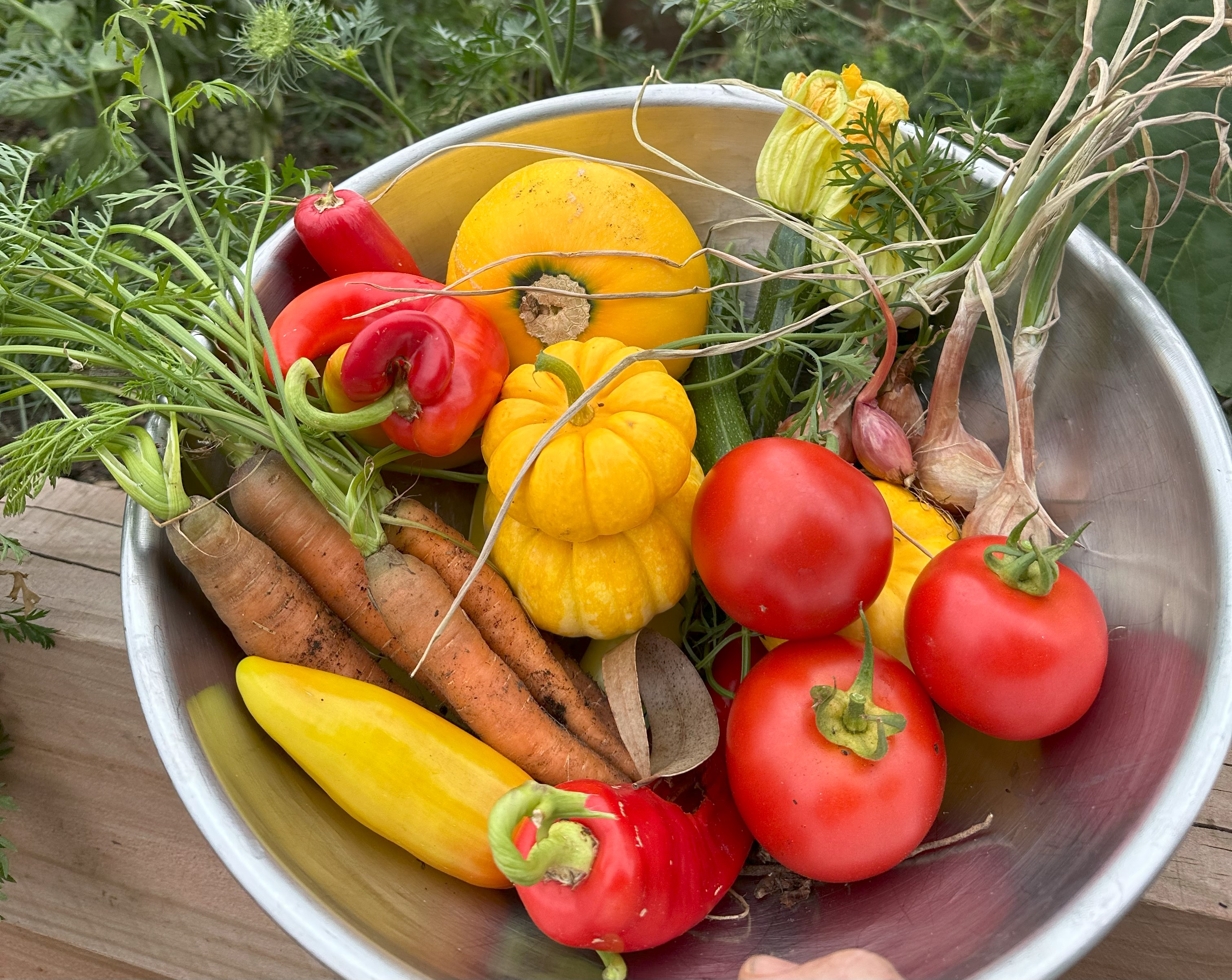 What to plant - February