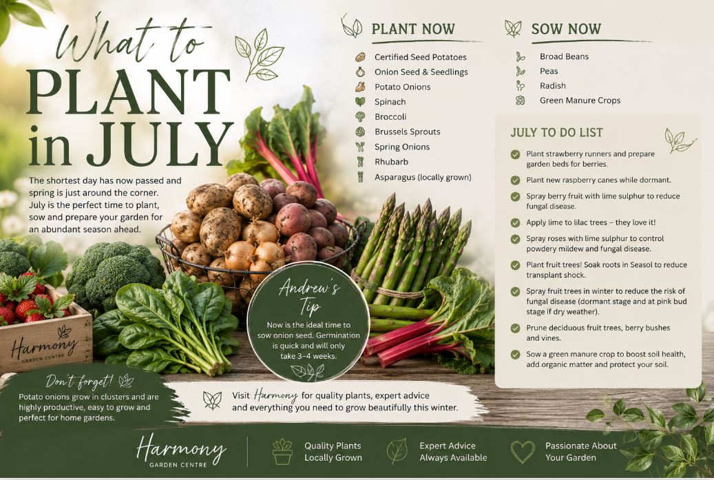 What to plant- July