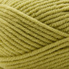 3 Pack - Premier Basix Chunky Yarn-Lime - 1145-1H7W4