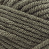 3 Pack - Premier Basix Chunky Yarn-Lichen - 1145-35