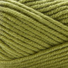 Premier Yarns Anti-Pilling Everyday Bulky Yarn-Clover - 1068-1H8JW