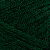 Lion Brand Wool-Ease DK Yarn-Forest Green - 5A0039DL-1H8LN