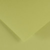 25 Pack - Canson Colorline Sheet 8.5"X11"-Lime Green - 5A0036C3-1H7F6 - 3148950012173
