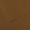 10 Pack - Canson Mi-Teintes Sheet 19"X25"-Tobacco - 5A00366F-1H7FY - 3148955734964