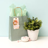 3 Pack - American Crafts Fancy That Medium Gift Bag 8"x10.25" 13 Pack-Holiday - 34007183