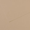 10 Pack - Canson Mi-Teintes Sheet 19"X25"-Pearl - 5A00366F-1H7F9 - 3148955734339