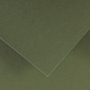 10 Pack - Canson Colorline Sheet 19.5"X25.5"-Khaki Green - 5A00367D-1H7GN - 3148950009067