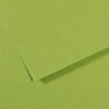 10 Pack - Canson Mi-Teintes Sheet 19"X25"-Apple Green - 5A00366F-1H7GH - 3148955734810
