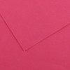 25 Pack - Canson Colorline Sheet 8.5"X11"-Fuchsia - 5A0036C3-1H7HH - 3148950011886