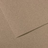 25 Pack - Canson Mi-Teintes Sheet 8.5"X11"-Steel Gray - 5A0036B0-1H7H3 - 3148955736494