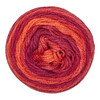 6 Pack - Red Heart Super Saver Yarn 2 Pack-Hot Sauce - 5A002LN9-1GN9B