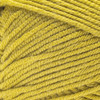 Caron Simply Me Yarn Merino-Autumn Gold - 5A002X8V-1GY81