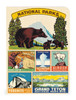 Cavallini Mini Notebooks 3/Pkg-National Parks - 5A0035PF-1H6ZF