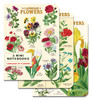 Cavallini Mini Notebooks 3/Pkg-Language of Flowers - 5A0035PF-1H6ZH - 9781639474486