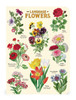 Cavallini Mini Notebooks 3/Pkg-Language of Flowers - 5A0035PF-1H6ZH