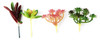 4 Pack - CousinDIY Succulent 4/Pkg-Assorted - 40026AST