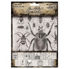 Tim Holtz Idea-ology-Collage Paper - 5A0026RJ-1G96G - 040861943931