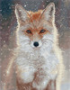 Diamond Dotz Square Diamond Art Kit 45"X35"-Snowflake Fox - DQ10032