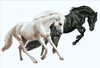 Diamond Dotz Simply Dotz Diamond Art Kit 24.4"X16.5"-Horse Play - SD7403 Diamond Dotz Simply Dotz Diamond Art Kit 24.4"X16.5"-Horse Play - SD7403