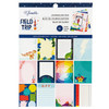 3 Pack - American Crafts Single-Sided Paper Pad 6"X8" 36/Pkg-Shimelle Field Trip - 352206 - 718813522069