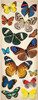 Adhesive Chipboard-Natural Butterflies - K137110