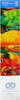 Diamond Dotz Diamond Art Kit 22.44"X16.14"-Rainbow Parrots - DD10025 - 4897073244310