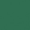 Jacquard Neopaque Acrylic Paint 2.25oz-Green - NEOPAQUE-587