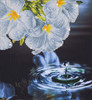 Diamond Dotz Diamond Art Kit 15.75"X17"-Water Droplet - DD5019