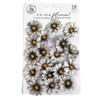 Prima Paper Flowers 18/Pkg-Ghostly Blooms, Bewitched - 5A00372J-1H82Z - 655350680619