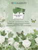 49 And Market Collection Pack 6"X8"-Color Swatch: Willow - A5002406-G179J - 786724927907