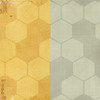 49 And Market Collection Pack 12"X12"-Academia - 5A0021HZ-1G4FK