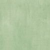 20 Pack - Color Swatch: Willow Double-Sided Cardstock 12"X12"-#2 - A5002404-G1791