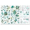Color Swatch: Teal Rub-On Transfer Set-3 Sheets - TCS26306