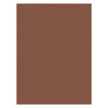 Tru-Ray Construction Paper 76lbs. Warm Brown-9"X12", 50 Sheets - 5A0035HZ-1H6T1