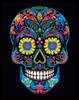 Diamond Dotz Neon Diamond Art Kit 14"X18"-Noir Skull - 5A0030VY-1H2BZ