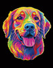 Diamond Dotz Neon Diamond Art Kit 14"X18"-Noir Dog - 5A0030W0-1H2BH