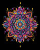 Diamond Dotz Neon Diamond Art Kit 14"X18"-Noir Mandala - 5A0030VM-1H2BL