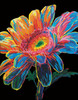Diamond Dotz Neon Diamond Art Kit 14"X18"-Noir Flower - 5A0030VH-1H2BN
