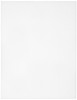 CousinDIY Plastic Canvas 10 Count 10.5"X13.5"-Clear - 40000711
