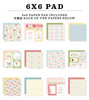Echo Park Double-Sided Paper Pad 6"X6"-In Full Bloom - 5A003HF6-1HCM1