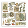 Stamperia Junk Journal And Rub-On Kit-Herbarium Silvae - 5A003GG7-1HBH9