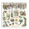 Stamperia Junk Journal And Rub-On Kit-Herbarium Silvae - 5A003GG7-1HBH9