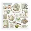 Stamperia Junk Journal And Rub-On Kit-Herbarium Silvae - 5A003GG7-1HBH9