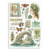 Stamperia A5 Washi Pad 8/Pkg-Herbarium Silvae - 5A003GGT-1HBJD