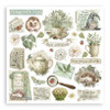 Stamperia Rub-On Kit 6.1"X6.1" 6/Pkg-Herbarium Silvae - 5A003GG9-1HBJ9